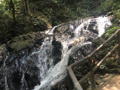 -莫里热带雨林景区
