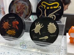-半岛宠物医院24小时(白果林店)
