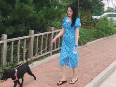 -日照海滨国家森林公园