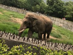 -西安秦岭野生动物园