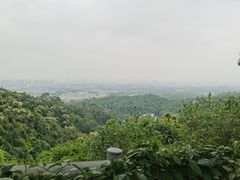 -火炉山森林公园