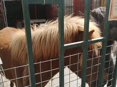 -有喜胶东小馆(超极合生汇太申祥和店)