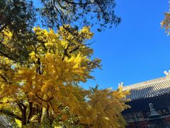 -红螺寺