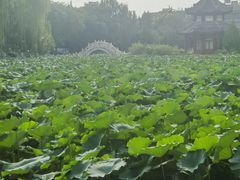 -莲池书院博物馆