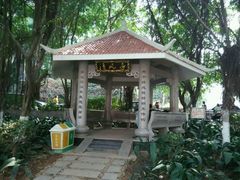 android_upload_pic-江头公园