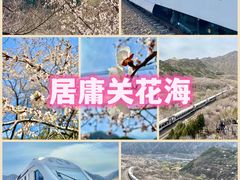 -居庸关长城