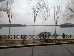 -丁香湖公园