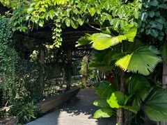 -Ohkajhu Organic Farm Sansai