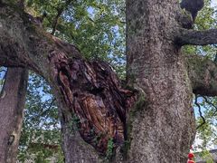 -新安江山水画廊风景区