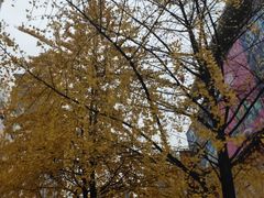 -黄兴南路步行商业街