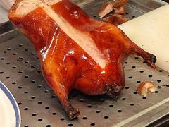 -上海总会SHANGHAICLUB(兴业太古汇店)