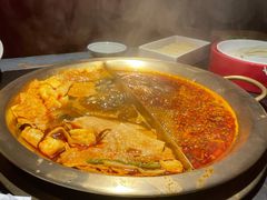 -九鼎轩脆毛肚火锅(南京东路店)