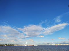 -深圳湾公园(南山区)