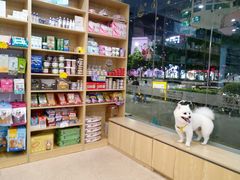 -芭比堂动物医院·24小时·眼科中心(深圳中心)