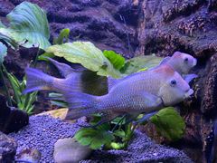 -上海海洋水族馆