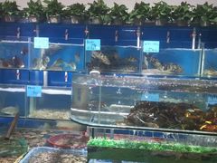 -鑫悦楼煎蟹·16年海鲜大排档