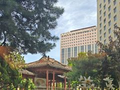 -亮马河饭店翠雅咖啡厅