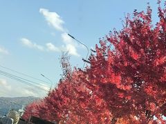 -九鼎铁刹山风景区