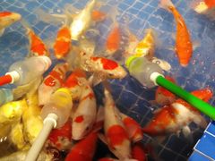 -昆明大悦城未来动物城(螺蛳湾中心店)