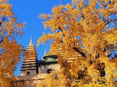 -北京石刻艺术博物馆(五塔寺)
