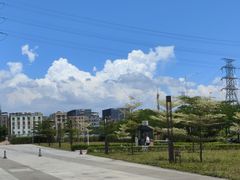 -火炉山森林公园