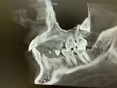 -牙博士口腔品牌连锁(杨浦店)