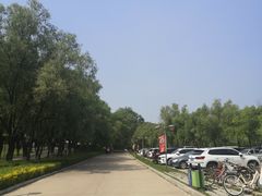 -高尔山公园