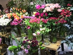 -植物学家的女儿(北马道巷店)