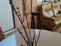 -ライフ(落合南長崎駅前店)