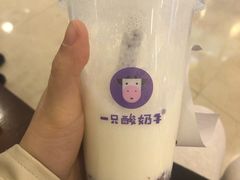 -一只酸奶牛(百联南岸上海城店)