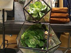android_upload_pic-沈阳大商千盛购物中心有限公司(长江街店)