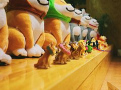 -柴务处·柴犬主题狗咖