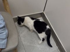 -中农国际动物医院24小时·猫科·骨科·急重症中心