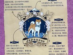 -北京市海淀外国语实验学校