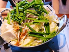 博多牛肠火锅-九州酒场ひこぞう(1号店)