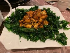 -金燕岛潮州酒楼