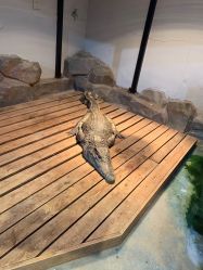 -未来动物城动物主题公园(大悦城店)