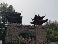 -木兰云雾山