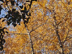 -狼山风景名胜区