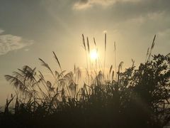 -达蓬山旅游度假区