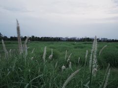 -汉长安城未央宫国家考古遗址公园