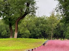 -汉长安城未央宫国家考古遗址公园