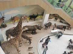 -陕西自然博物馆