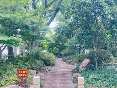 -秋霞圃