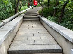 -南山公园