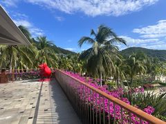 -日落吧·海景咖啡厅·餐酒吧·鸡尾酒·下午茶·乐队表演·浪漫夕阳·三亚文华东方酒店