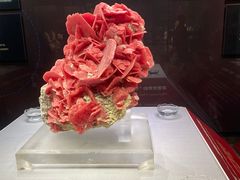 -湖南省地质博物馆