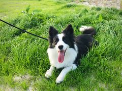 -合肥滨湖国家森林公园