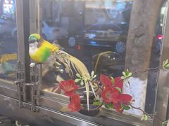 -花鸟鱼私家小厨·川菜(文殊院店)