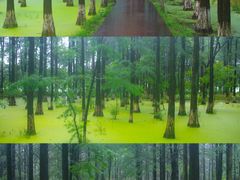 -艾溪湖湿地公园